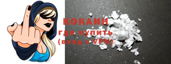 индика Абинск