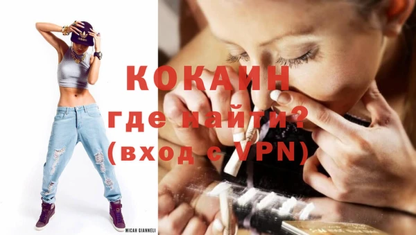 индика Абинск