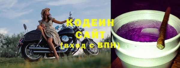 индика Абинск