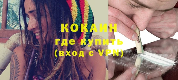 индика Абинск