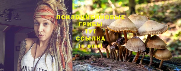 амф Абаза