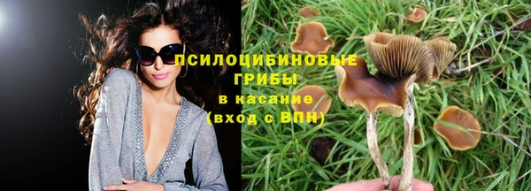 амф Абаза