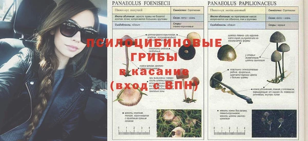 индика Абинск