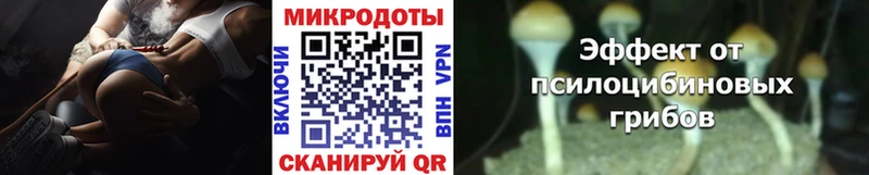 закладки  Монино  Псилоцибиновые грибы Psilocybe 